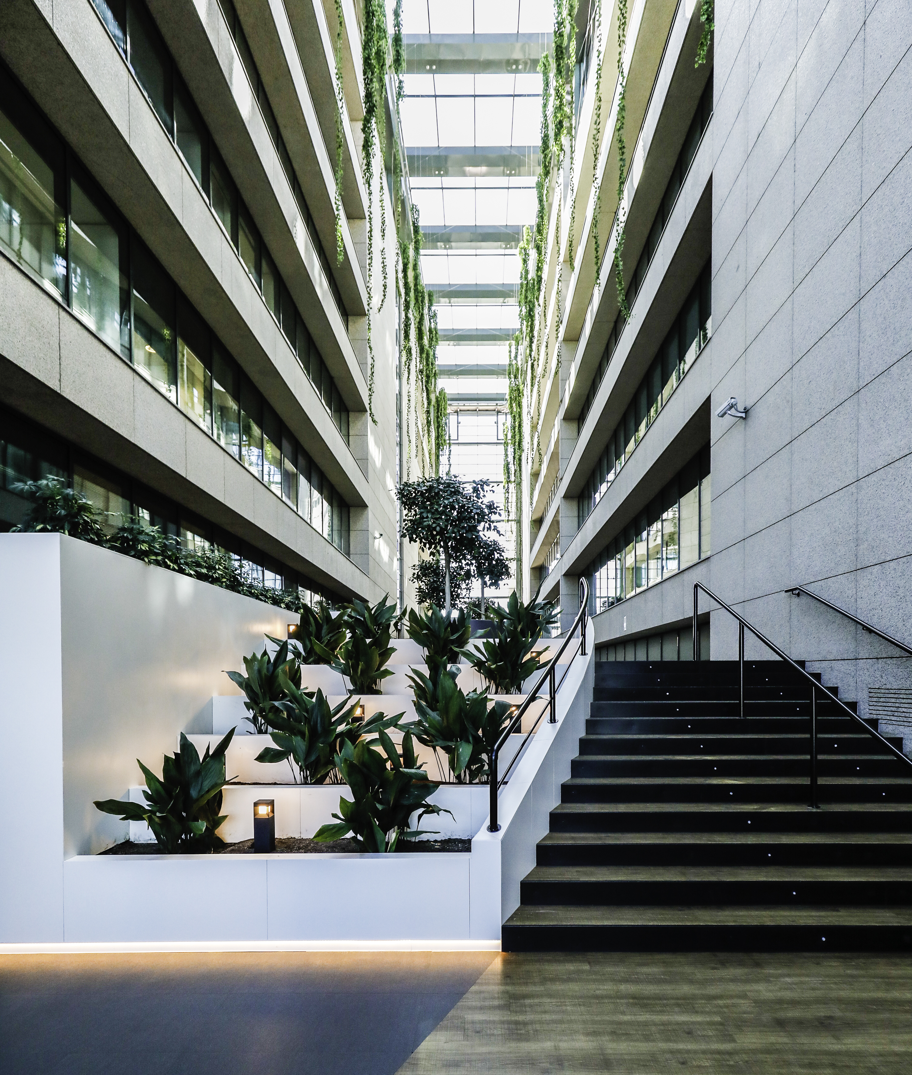 María de portugal, 1-3-5 5 María de portugal, 1-3-5 5